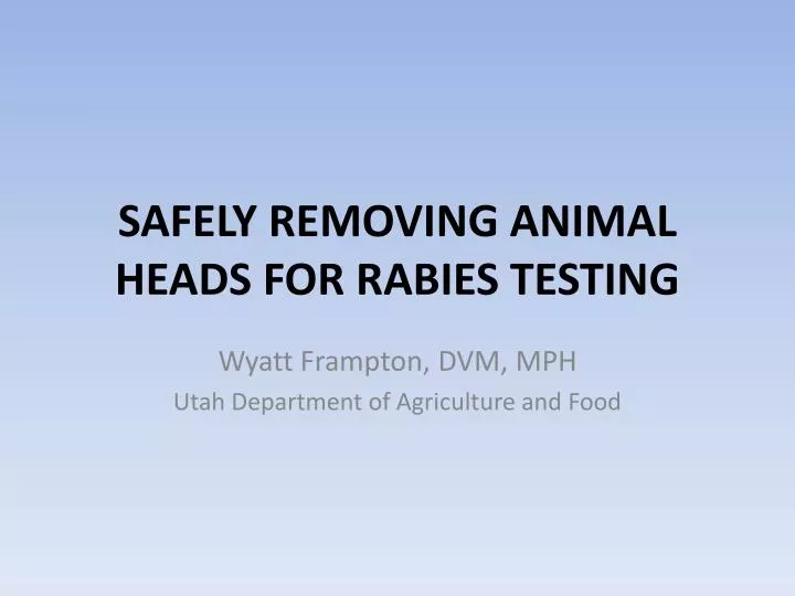safely removing animal heads for rabies testing