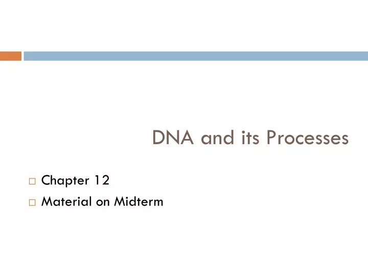 dna and its processes