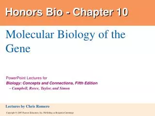 Honors Bio - Chapter 10