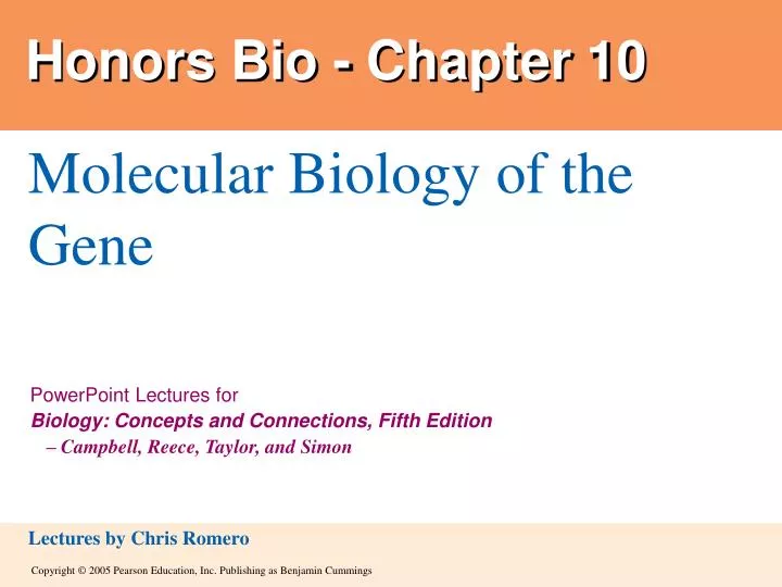 honors bio chapter 10