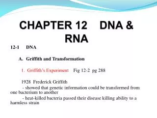 CHAPTER 12 DNA &amp; RNA