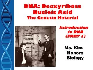 DNA: Deoxyribose Nucleic Acid The Genetic Material