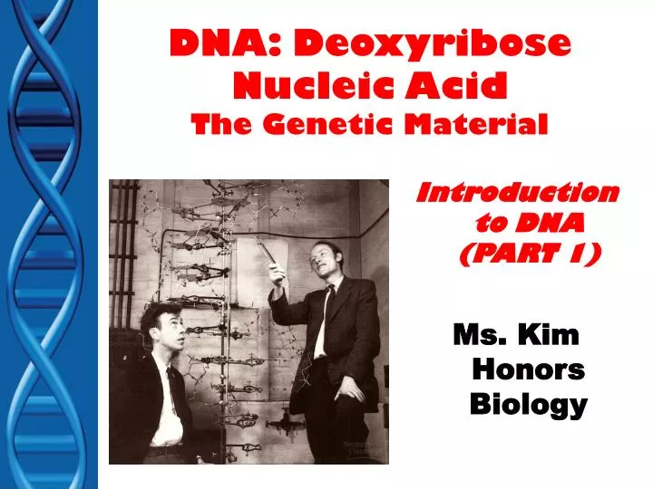 dna deoxyribose nucleic acid the genetic material