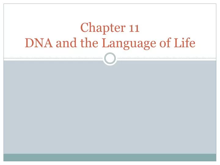 chapter 11 dna and the language of life