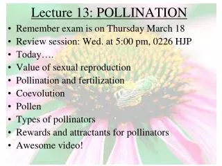 Lecture 13: POLLINATION