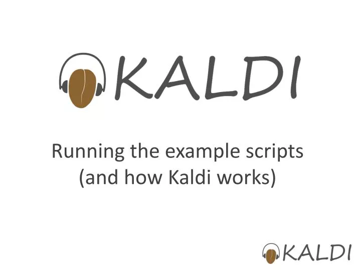 running the example scripts and how kaldi works