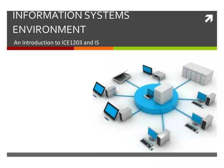 information systems environment
