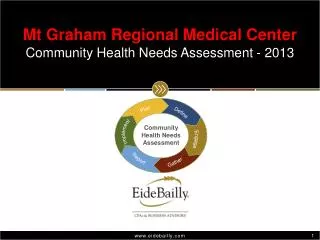 Mt Graham Regional Medical Center Community Health Needs Assessment - 2013