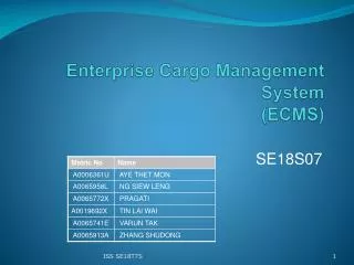 Enterprise Cargo Management System (ECMS)