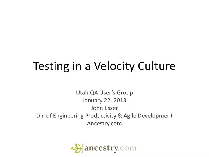 testing in a velocity culture