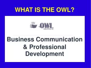 WHAT IS THE OWL?