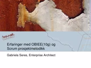 Erfaringer med OBIEE(10g ) og Scrum prosjektmetodikk