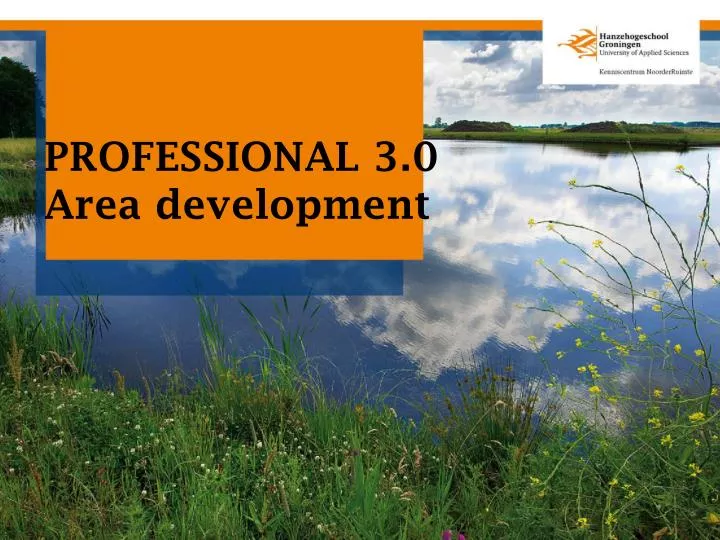 professional 3 0 area development