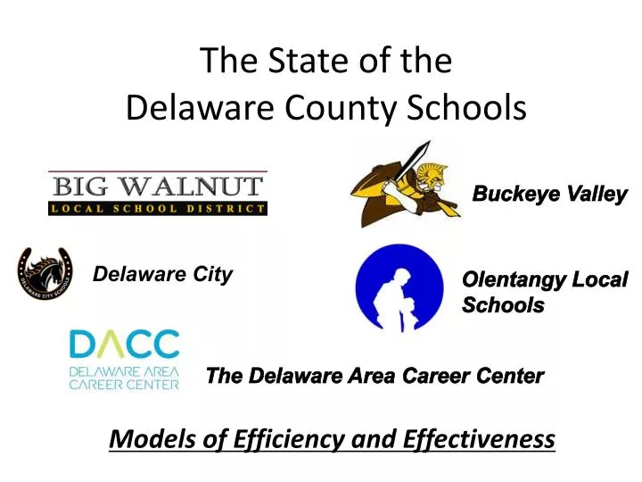 the state of the delaware county schools