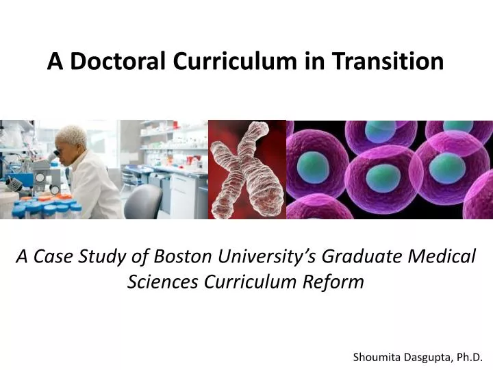 a doctoral curriculum in transition