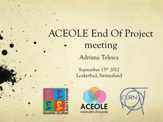 ACEOLE End Of Project meeting