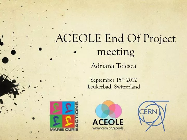 aceole end of project meeting