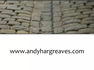 www.andyhargreaves.com