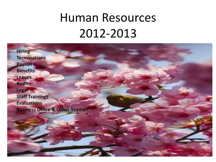 human resources 2012 2013