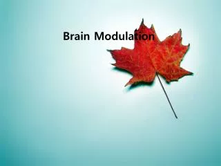 Brain Modulation