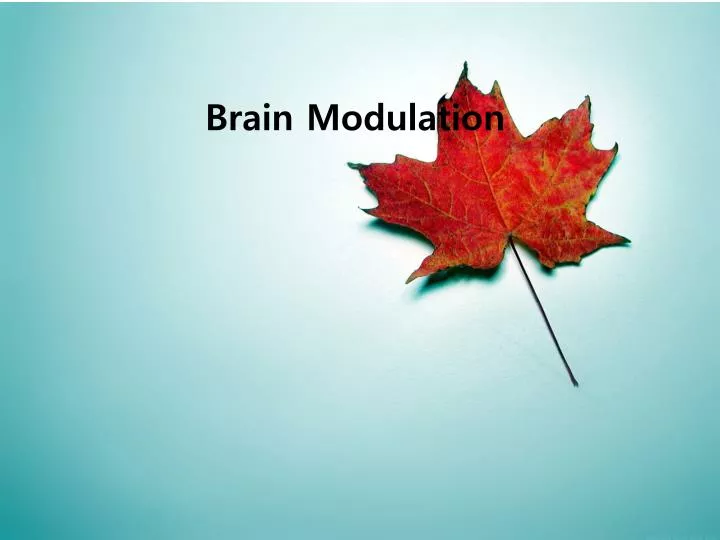brain modulation