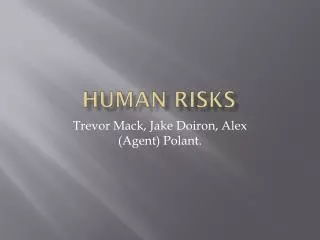 Human Risks