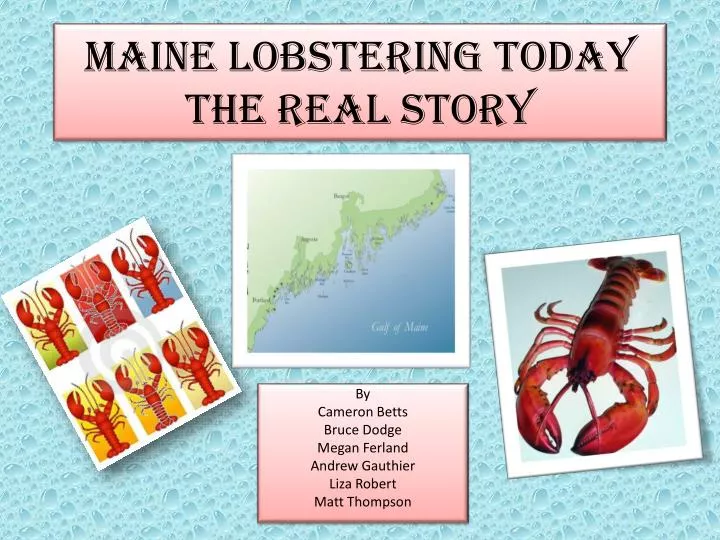 maine lobstering today the real story