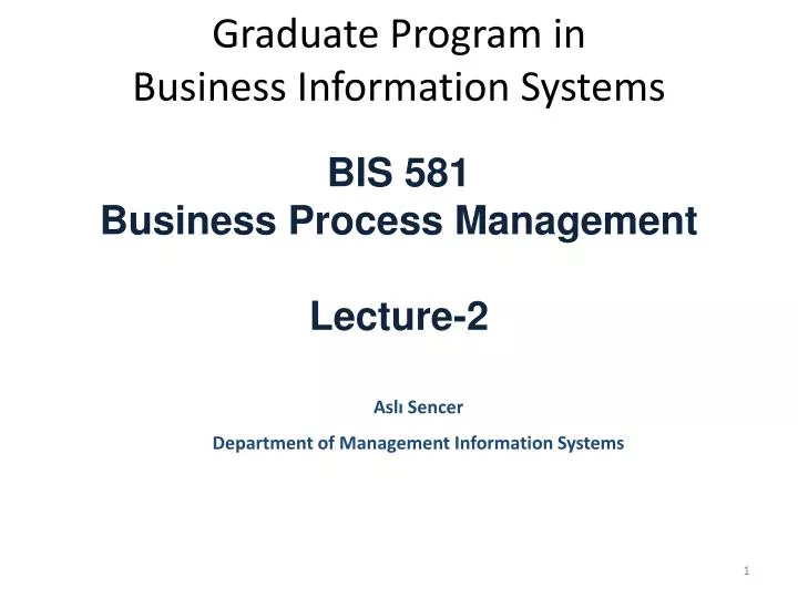 graduate program in business information systems
