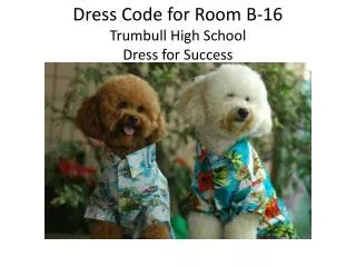 dress code for room b 16 trumbull high school dress for success