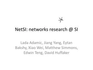 NetSI : networks research @ SI