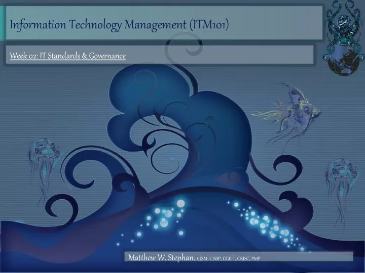 information technology management itm101
