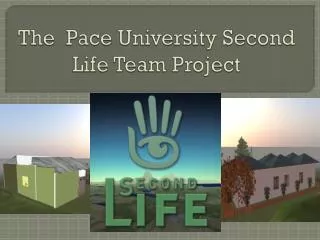 The Pace University Second Life Team Project