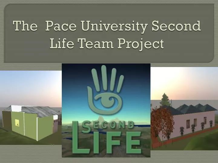 the pace university second life team project