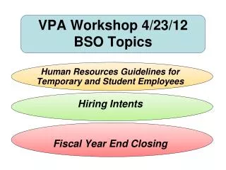 VPA Workshop 4/23/12 BSO Topics