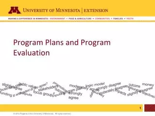 Program P lans and Program E valuation