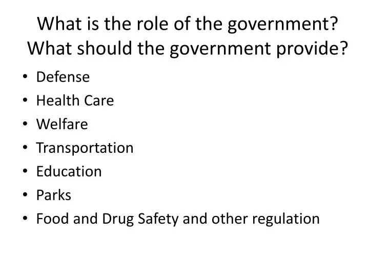 what is the role of the government what should the government provide