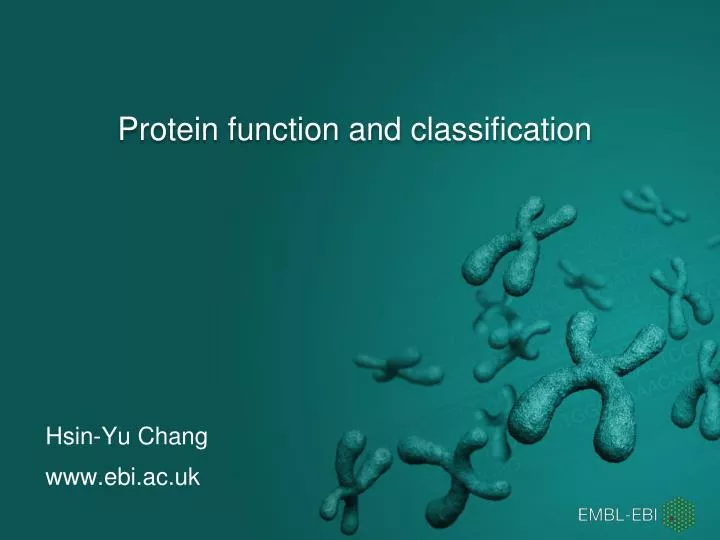 protein function and classification