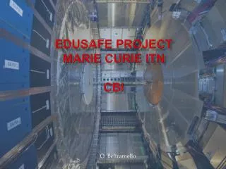 EDUSAFE Project Marie Curie ITN CBI