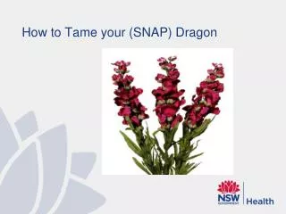 How to Tame your (SNAP) Dragon