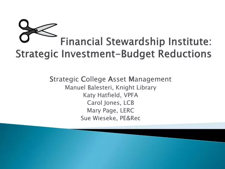 financial stewardship institute strategic investment budget reductions
