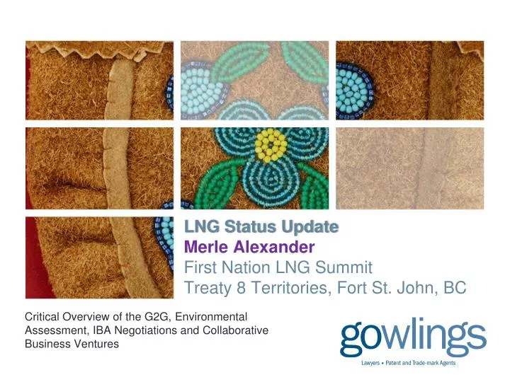 lng status update merle alexander first nation lng summit treaty 8 territories fort st john bc