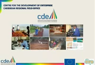 CENTRE FOR THE DEVELOPMENT OF ENTERPRISE CARIBBEAN REGIONAL FIELD OFFICE