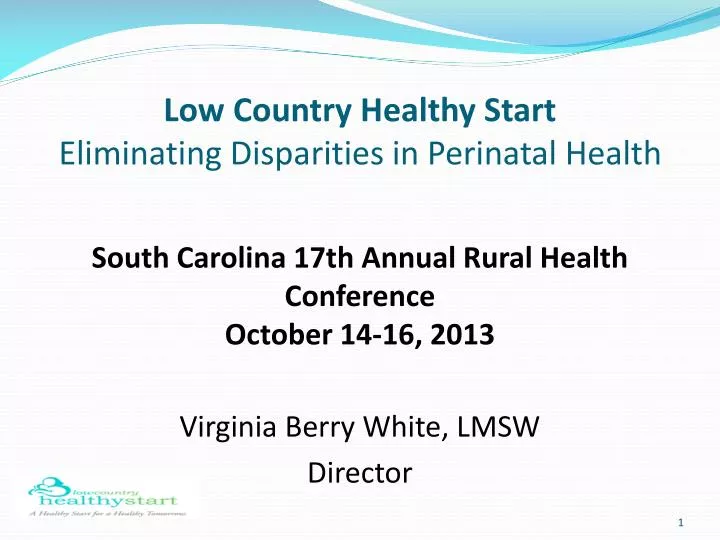 low country healthy start eliminating disparities in perinatal health