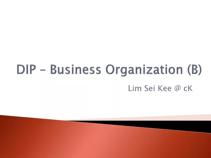 dip business organization b
