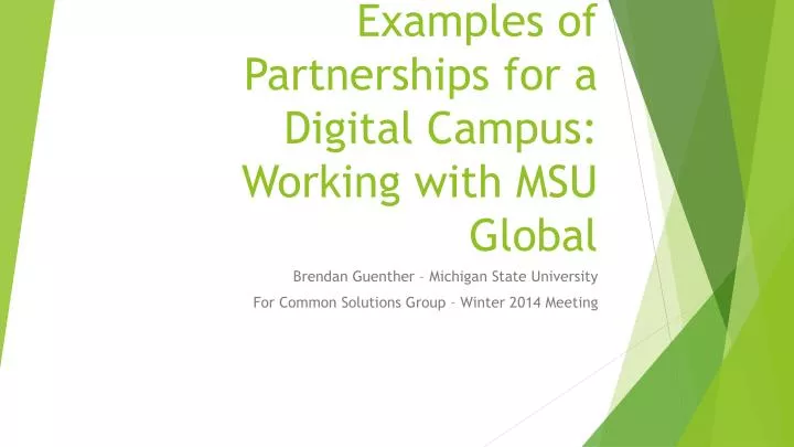 examples of partnerships for a digital campus working with msu global