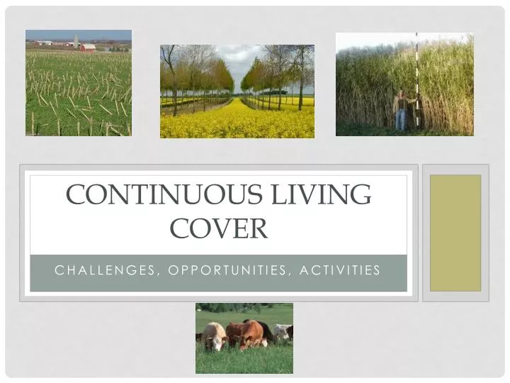continuous living cover
