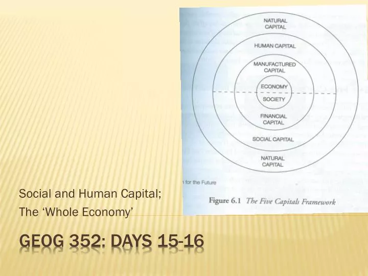 social and human capital the whole economy