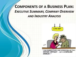 Components of a Business Plan: Executive Summary, Company Overview and Industry Analysis