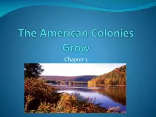 The American Colonies Grow