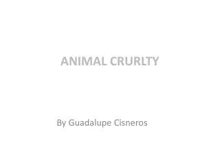 ANIMAL CRURLTY